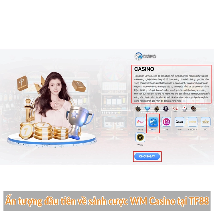 Ấn tượng đầu tiên về sảnh cược WM Casino tại TF88