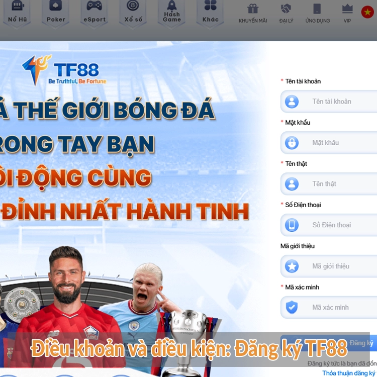 Điều khoản và điều kiện Đăng ký TF88 Điều khoản và điều kiện Đăng ký TF88
