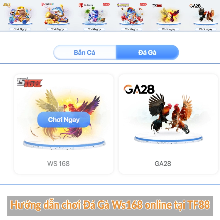 Hướng dẫn chơi Đá Gà Ws168 online tại TF88 Hướng dẫn chơi Đá Gà Ws168 online tại TF88