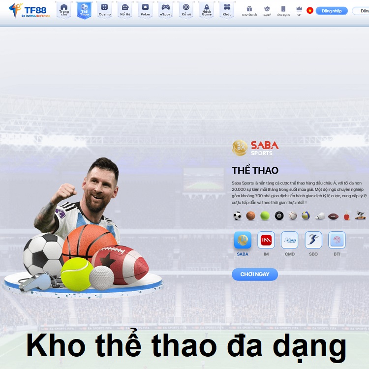Kho thể thao đa dạng Kho thể thao đa dạng