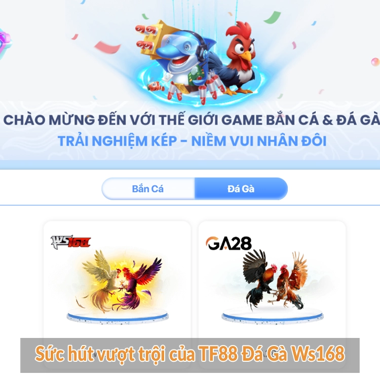 Sức hút vượt trội của TF88 Đá Gà Ws168 Sức hút vượt trội của TF88 Đá Gà Ws168