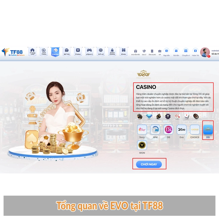 Tổng quan về EVO tại TF88